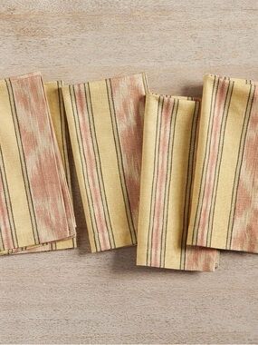 Pottery Barn Parker Stripe Ikat Cotton Napkins - Set of 4 - NEW NWT